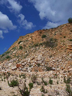 Discarica a Bisceglie.